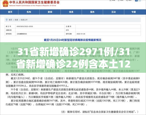 31省新增确诊2971例/31省新增确诊22例含本土12例