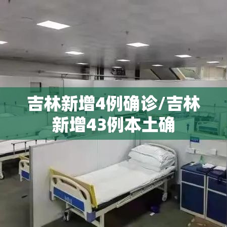 吉林新增4例确诊/吉林新增43例本土确 吉林新增4例确诊/吉林新增43例本土确