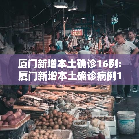 厦门新增本土确诊16例:厦门新增本土确诊病例16例 厦门新增本土确诊16例:厦门新增本土确诊病例16例