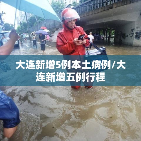 大连新增5例本土病例/大连新增五例行程