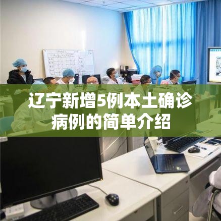辽宁新增5例本土确诊病例的简单介绍 辽宁新增5例本土确诊病例的简单介绍