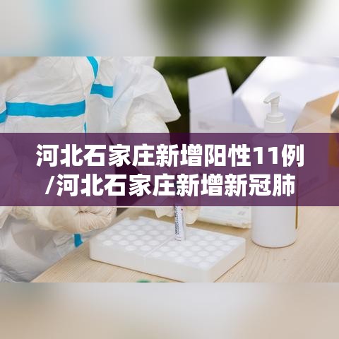河北石家庄新增阳性11例/河北石家庄新增新冠肺炎确诊病例2例 河北石家庄新增阳性11例/河北石家庄新增新冠肺炎确诊病例2例