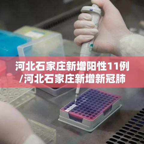 河北石家庄新增阳性11例/河北石家庄新增新冠肺炎确诊病例2例 河北石家庄新增阳性11例/河北石家庄新增新冠肺炎确诊病例2例