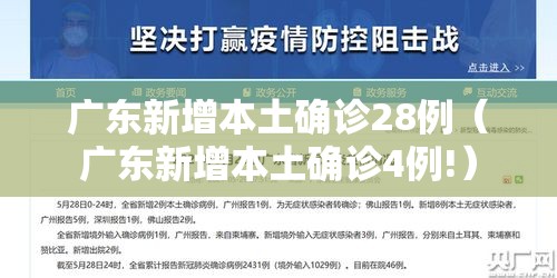 广东新增本土确诊28例(广东新增本土确诊4例!) 广东新增本土确诊28例(广东新增本土确诊4例!)