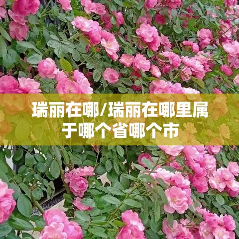 瑞丽在哪/瑞丽在哪里属于哪个省哪个市 瑞丽在哪/瑞丽在哪里属于哪个省哪个市