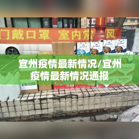 宜州疫情最新情况/宜州疫情最新情况通报 宜州疫情最新情况/宜州疫情最新情况通报