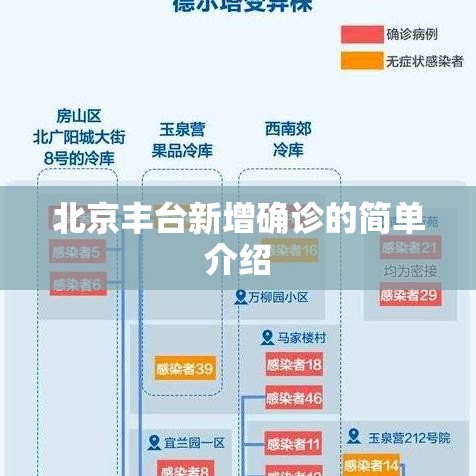 北京丰台新增确诊的简单介绍
