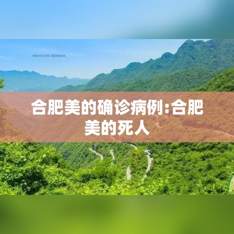合肥美的确诊病例:合肥美的死人