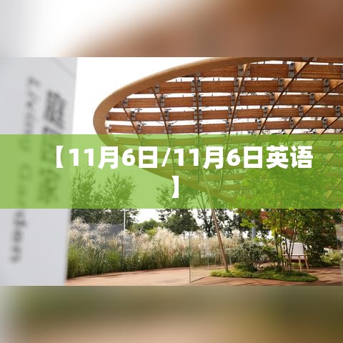 【11月6日/11月6日英语】 【11月6日/11月6日英语】