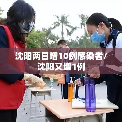 沈阳两日增10例感染者/沈阳又增1例 沈阳两日增10例感染者/沈阳又增1例