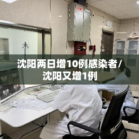 沈阳两日增10例感染者/沈阳又增1例 沈阳两日增10例感染者/沈阳又增1例