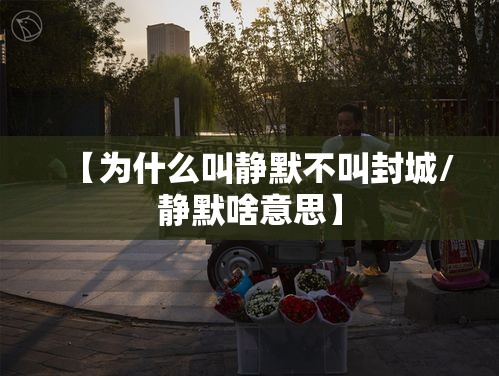 【为什么叫静默不叫封城/静默啥意思】