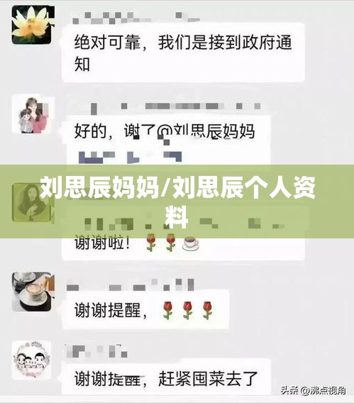 刘思辰妈妈/刘思辰个人资料 刘思辰妈妈/刘思辰个人资料