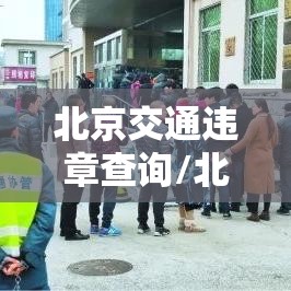 北京交通违章查询/北京交通违章查询大厅 北京交通违章查询/北京交通违章查询大厅