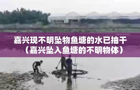嘉兴现不明坠物鱼塘的水已抽干（嘉兴坠入鱼塘的不明物体）