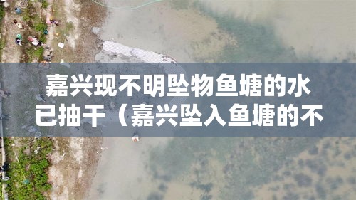 嘉兴现不明坠物鱼塘的水已抽干(嘉兴坠入鱼塘的不明物体) 嘉兴现不明坠物鱼塘的水已抽干(嘉兴坠入鱼塘的不明物体)