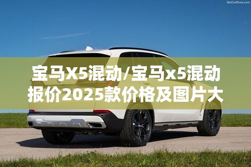 宝马X5混动/宝马x5混动报价2025款价格及图片大全