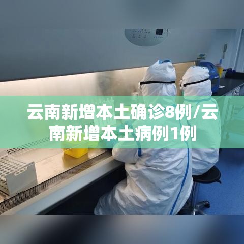 云南新增本土确诊8例/云南新增本土病例1例 云南新增本土确诊8例/云南新增本土病例1例