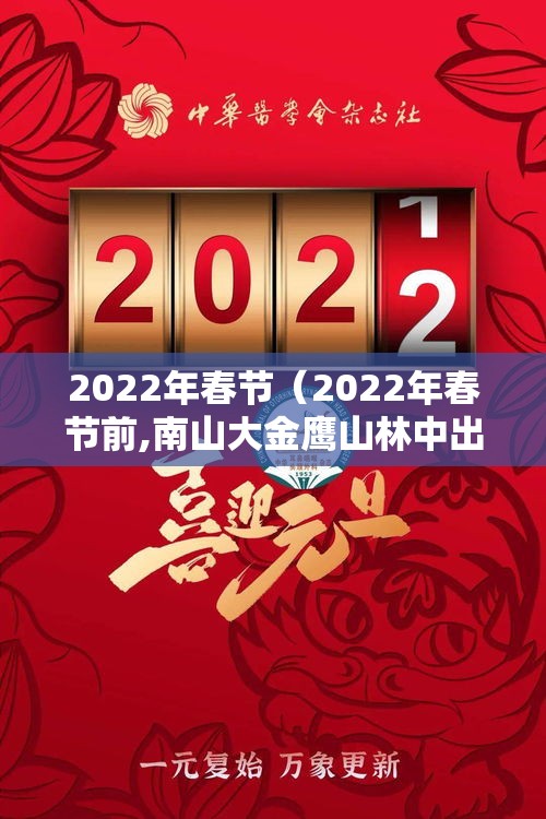 2022年春节(2022年春节前,南山大金鹰山林中出现了什么罕见动物) 2022年春节(2022年春节前,南山大金鹰山林中出现了什么罕见动物)