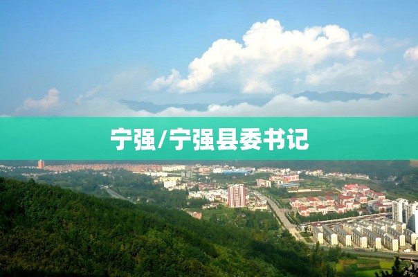 宁强/宁强县委书记