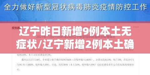 辽宁昨日新增9例本土无症状/辽宁新增2例本土确诊6例无症状 辽宁昨日新增9例本土无症状/辽宁新增2例本土确诊6例无症状
