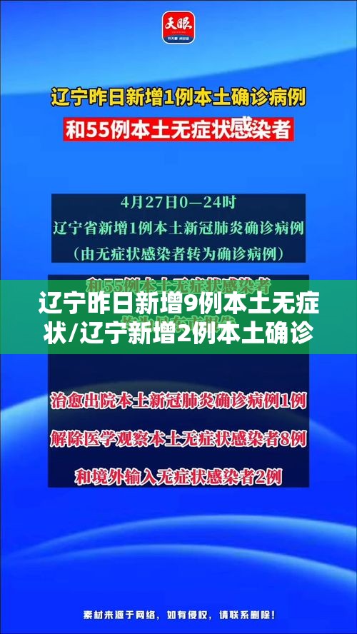 辽宁昨日新增9例本土无症状/辽宁新增2例本土确诊6例无症状 辽宁昨日新增9例本土无症状/辽宁新增2例本土确诊6例无症状