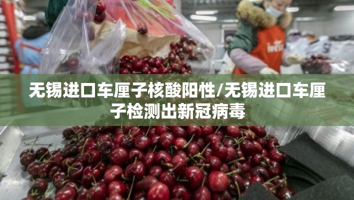 无锡进口车厘子核酸阳性/无锡进口车厘子检测出新冠病毒 无锡进口车厘子核酸阳性/无锡进口车厘子检测出新冠病毒