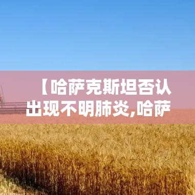 【哈萨克斯坦否认出现不明肺炎,哈萨克斯坦否认出现不明肺炎病毒】 【哈萨克斯坦否认出现不明肺炎,哈萨克斯坦否认出现不明肺炎病毒】